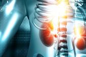 Renal Function Gains Seen in CKD Patients After TAVR